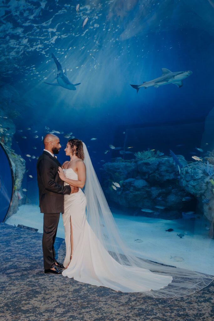 Bride and groom portrait in front of the aquarium tank with sharks at Mote Marine Aquarium in Sarasota, Florida, a distinctive Sarasota wedding venue