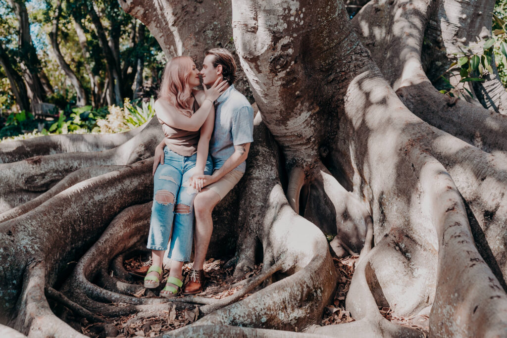 Couple sitting together under banyan tree at Selby Botanical Gardens Sarasota during proposal session
