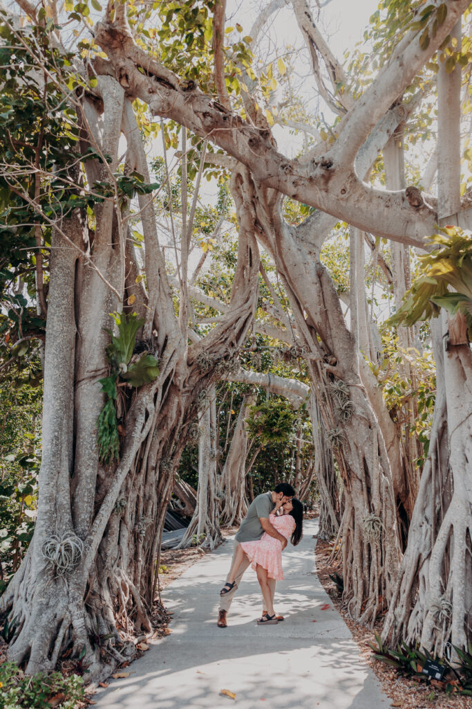 Couple walking beneath banyan trees at Selby Botanical Gardens in Sarasota