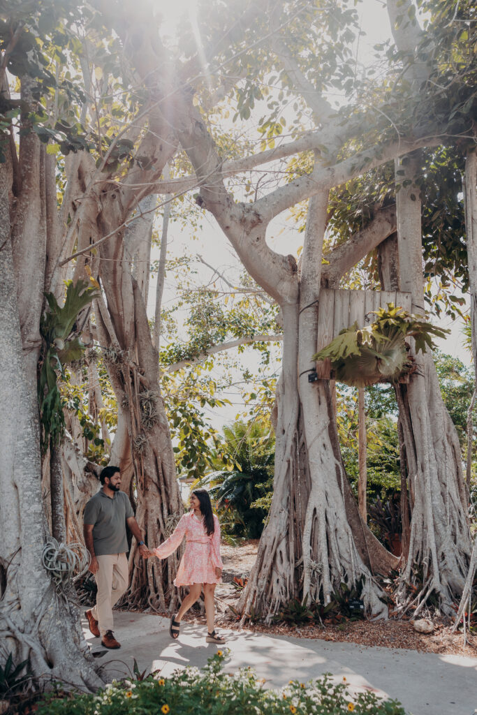 Couple walking under banyan trees at Selby Botanical Gardens during Sarasota proposal
