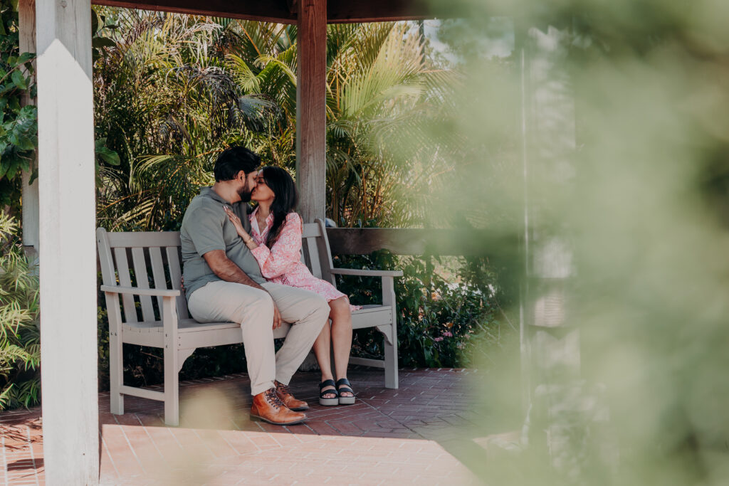 Just engaged couple sitting together at Selby Botanical Gardens after Sarasota proposal