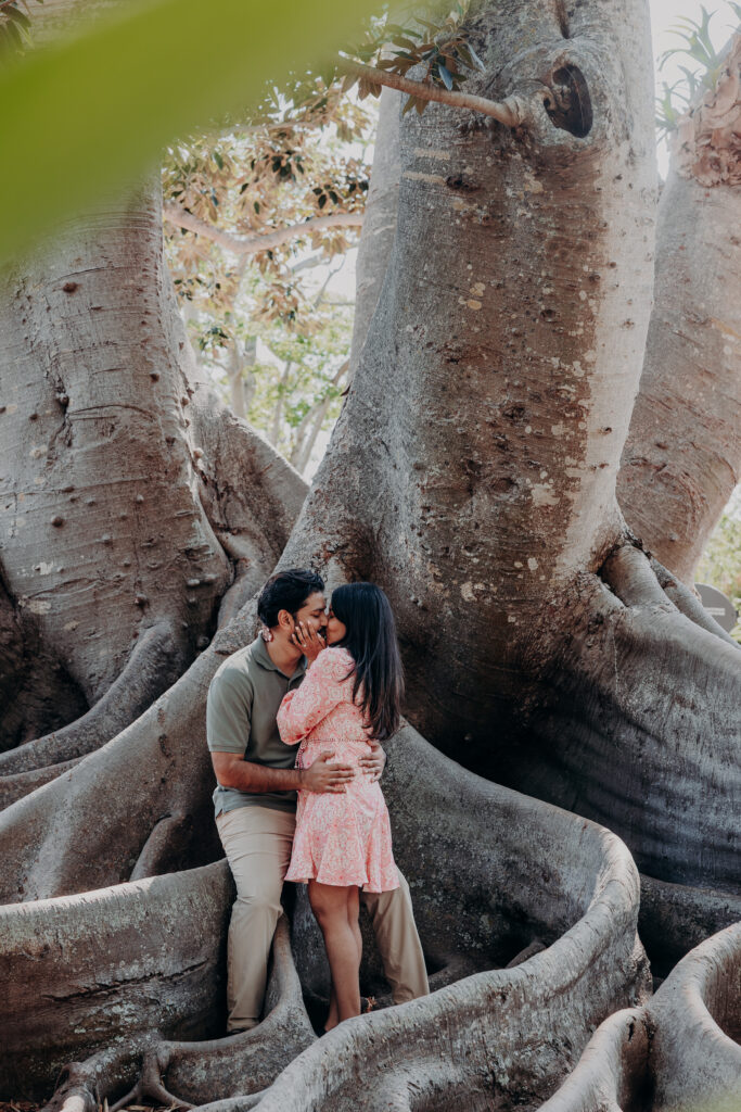 Couple embracing at banyan tree roots during Selby Botanical Gardens proposal in Sarasota