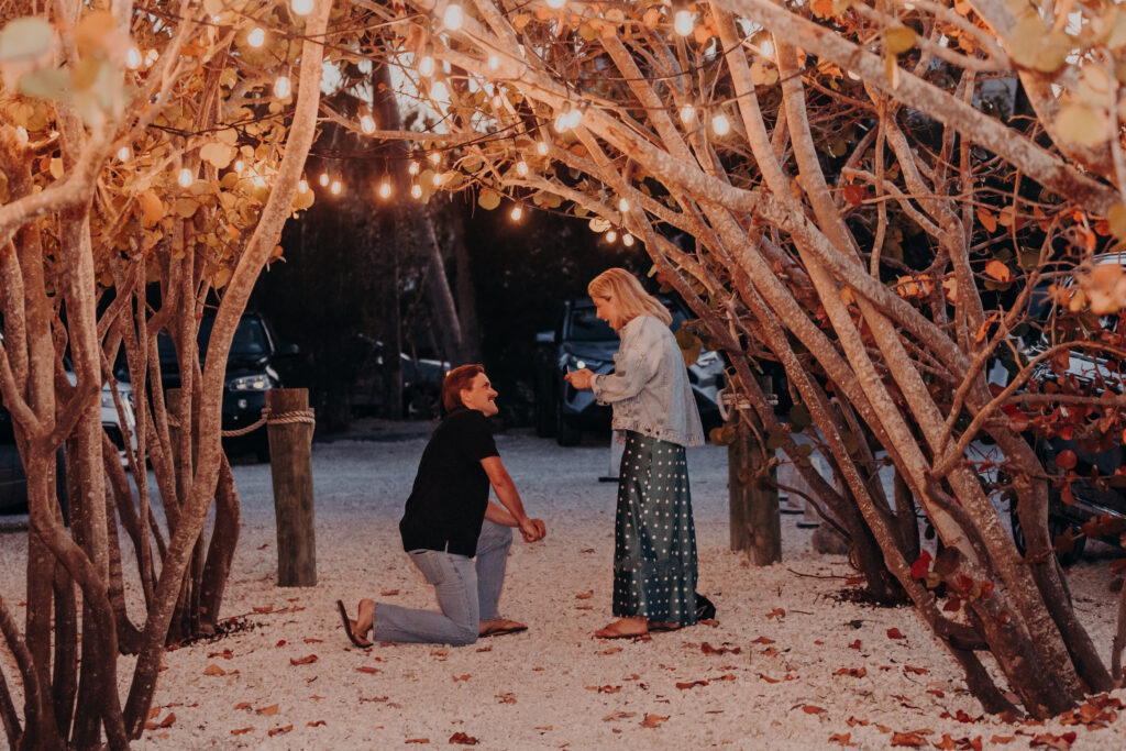 Proposal at Mar Vista Longboat Key under trees with string lights at night