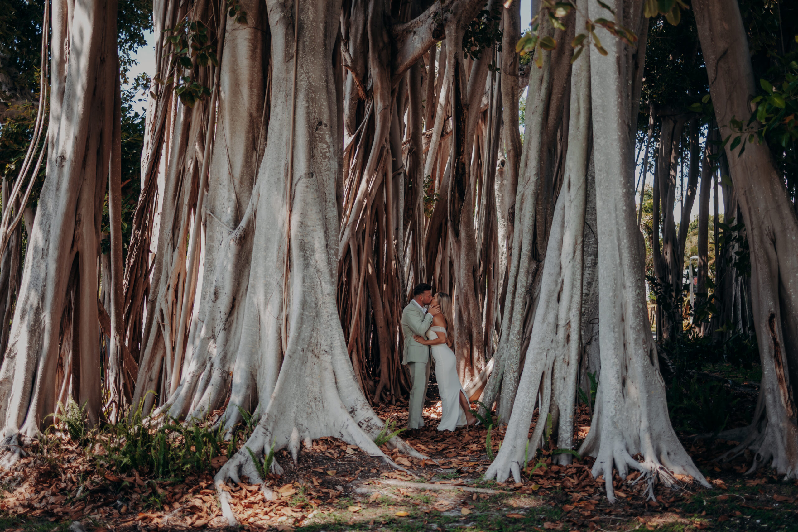 Couple embracing under the giant banyan tree at the Ringling estate Sarasota Florida engagement