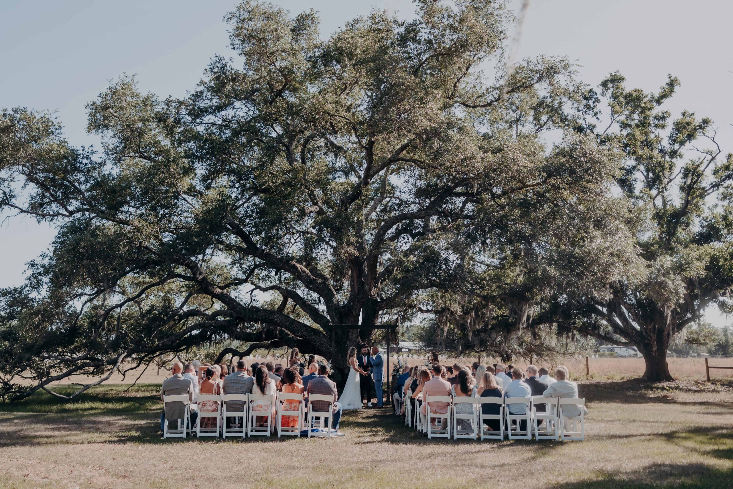 Wide ceremony shot under massive oak tree with guests at Brown's Grove Farm Parrish Florida