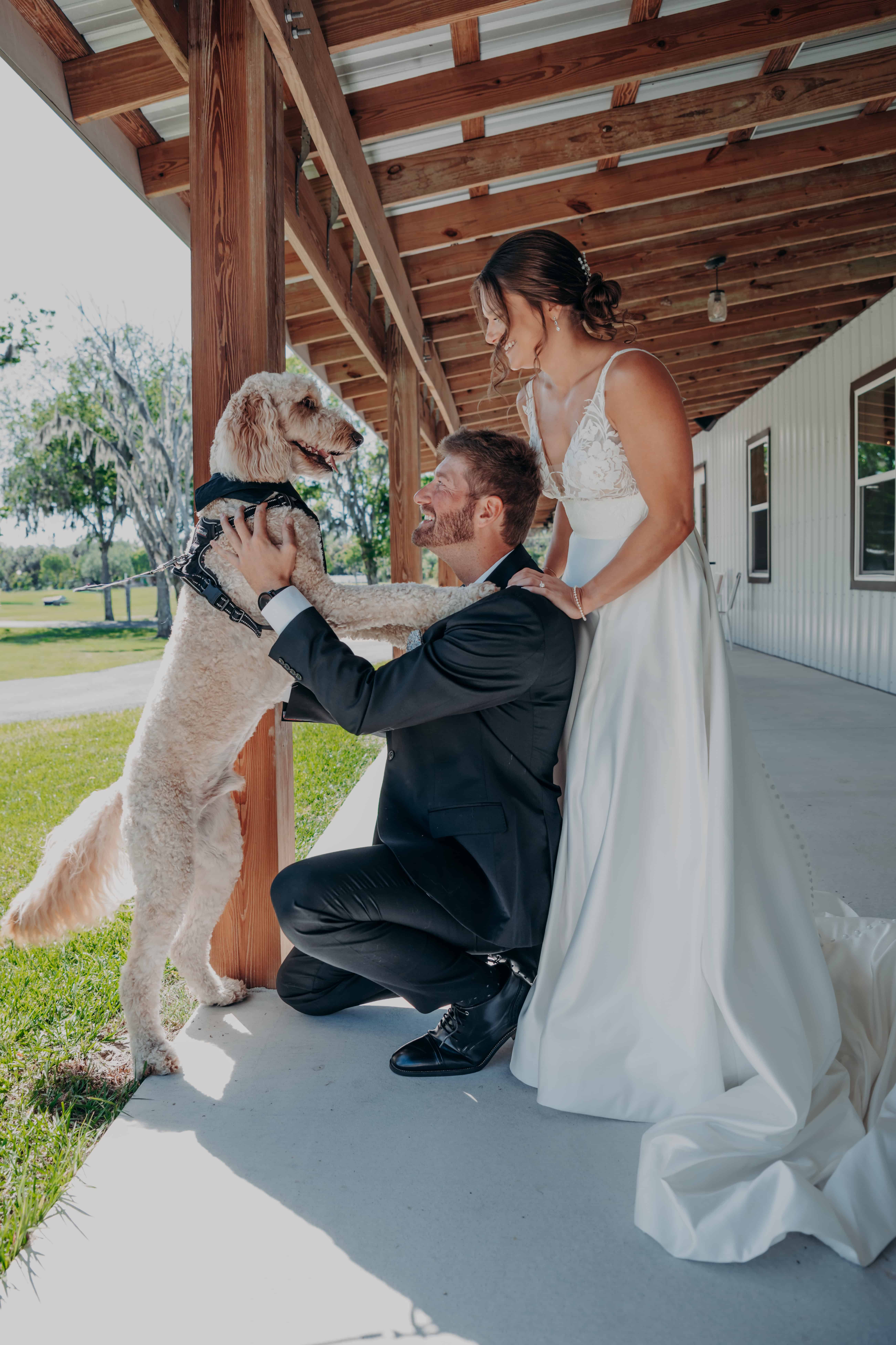 Hidden Acres wedding bride and groom with dog Charlie jumping