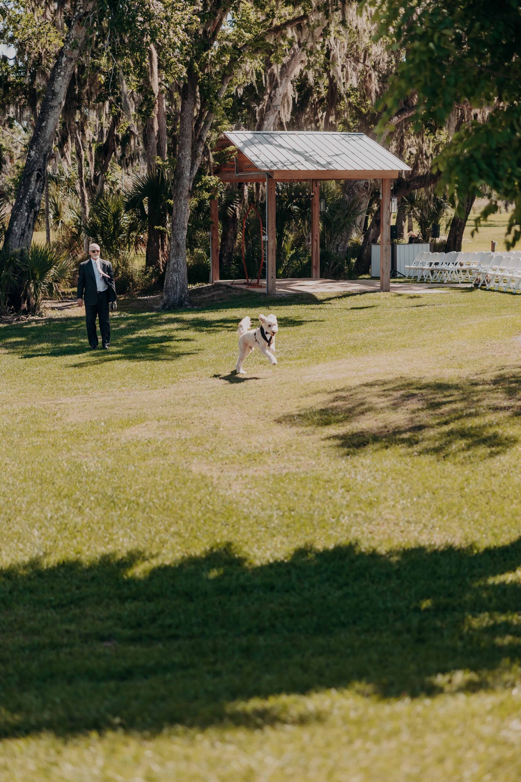 Hidden Acres wedding dog Charlie running across ceremony grounds