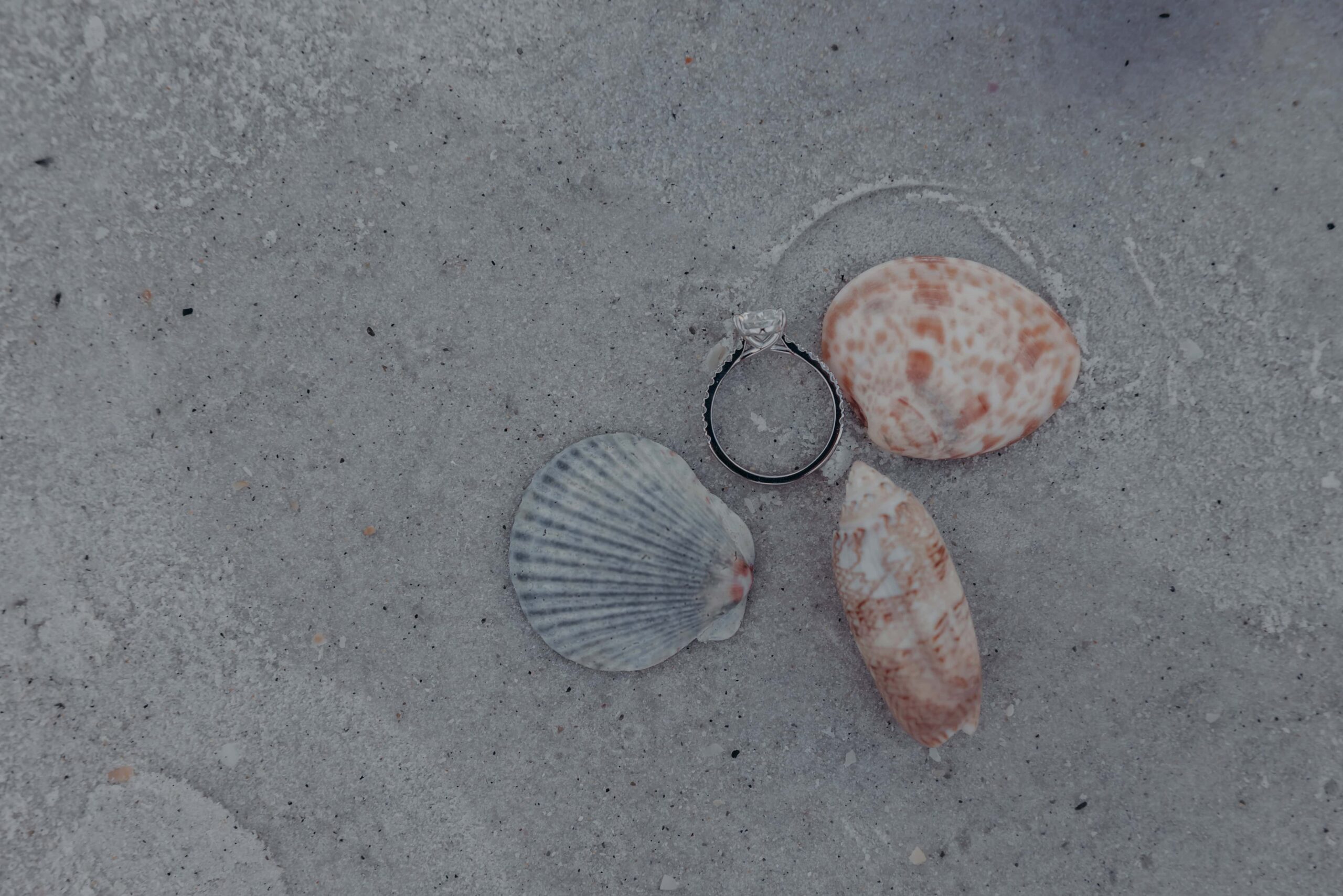Engagement ring detail shot in the sand with shells at Lido Beach, Sarasota